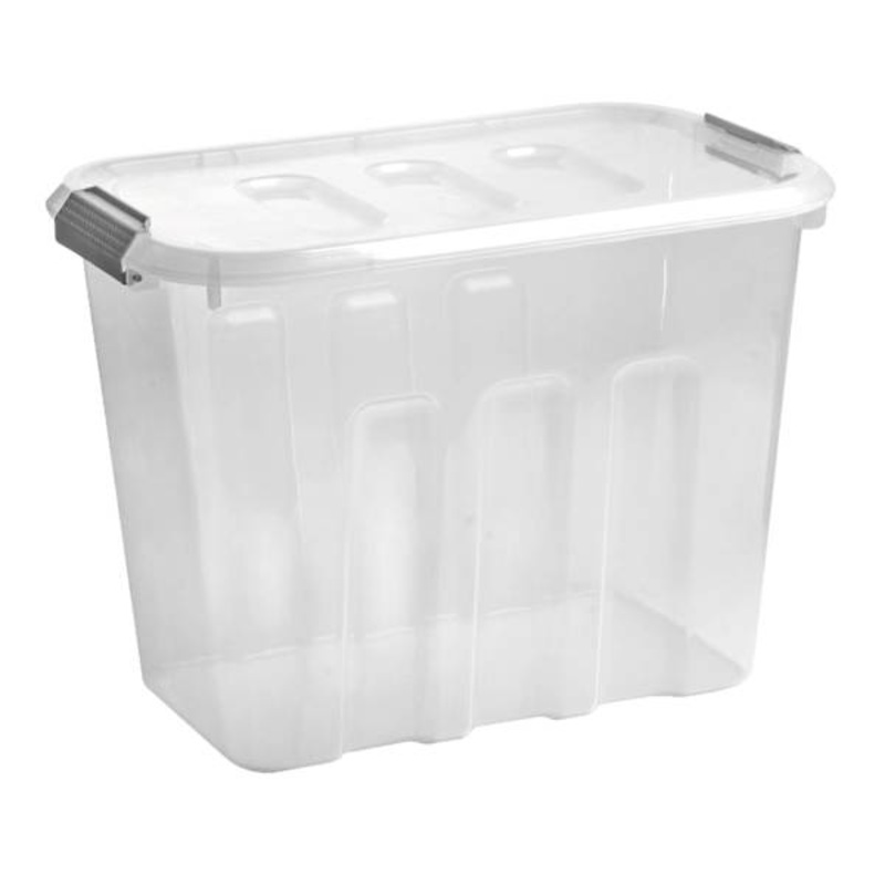 Clear Storage Container with Dual Hinging Lid, Medium