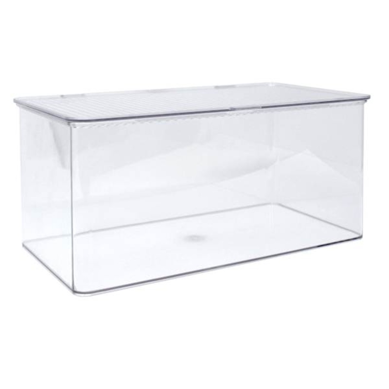 Clear Hinged Storage Organizer, Large