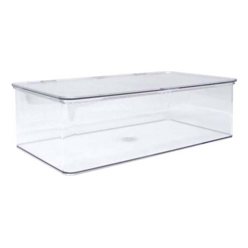 Clear Hinged Storage Organizer, Medium