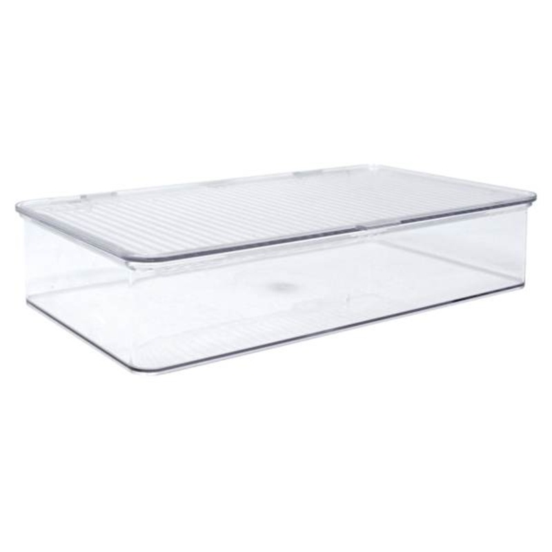 Clear Hinged Storage Organizer, Small