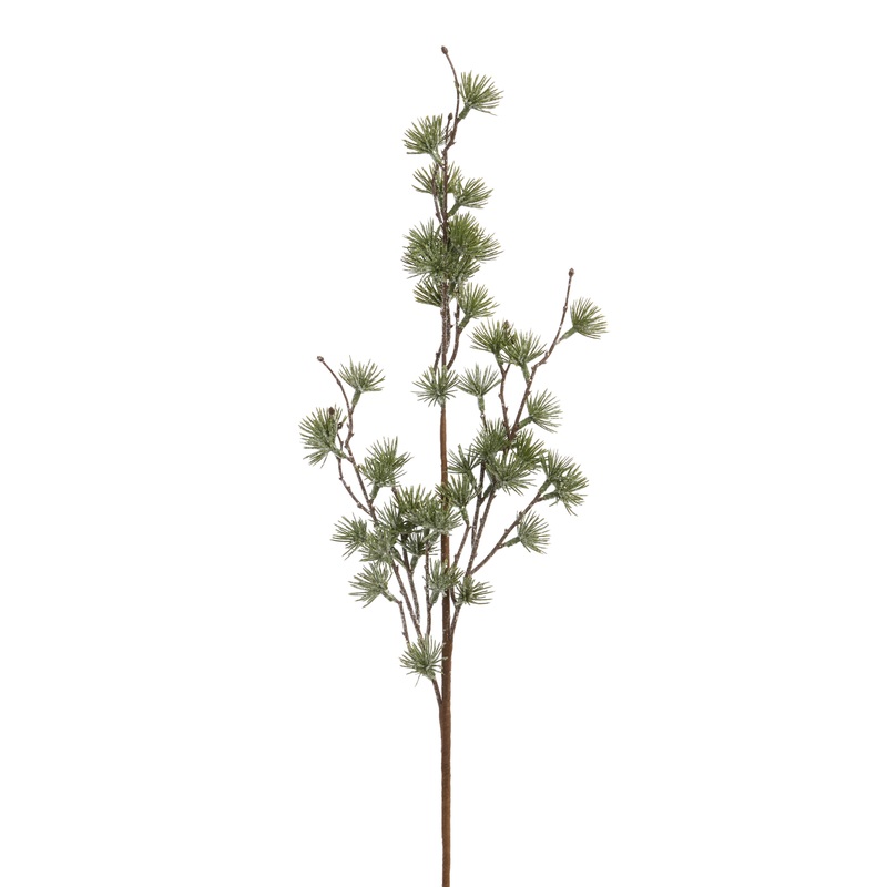 Snowy Sage Green Thistle Stem