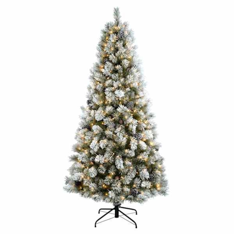 (B12) Pre-Lit Frosted Percy Spruce Christmas Tree, 7′