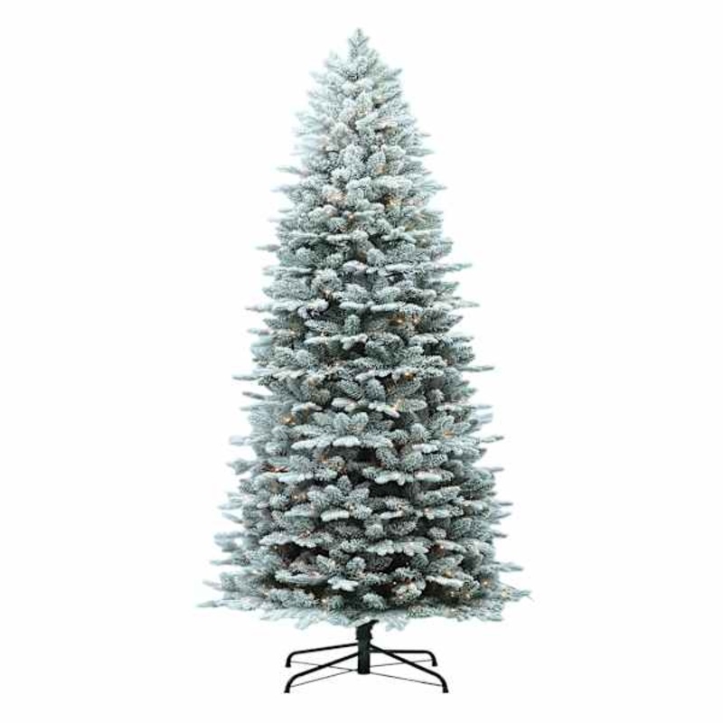 (C11) Pre-Lit Flocked Seattle Spurce Christmas Tree, 9′