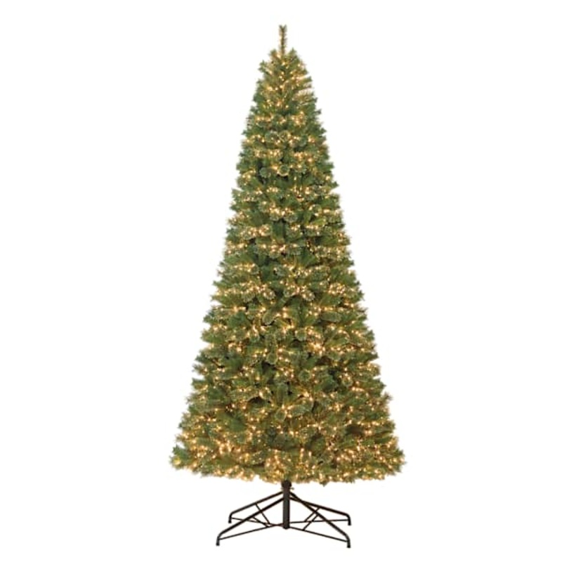 (D1) Pre-Lit Grand Capital Pine Christmas Tree, 12′