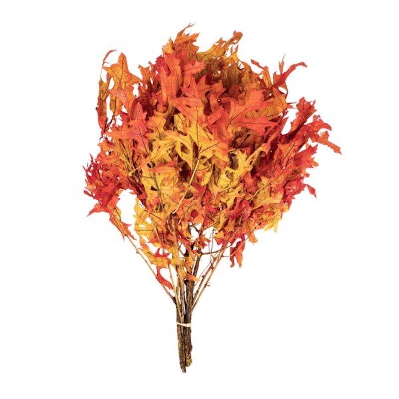 24-Pack Yellow & Orange Oak Leaves