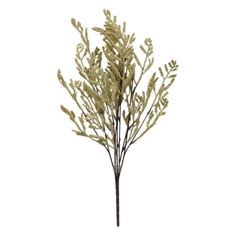 White Harvest Bush, 24″
