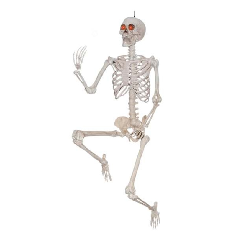 5ft Posable Life-Size Halloween Skeleton
