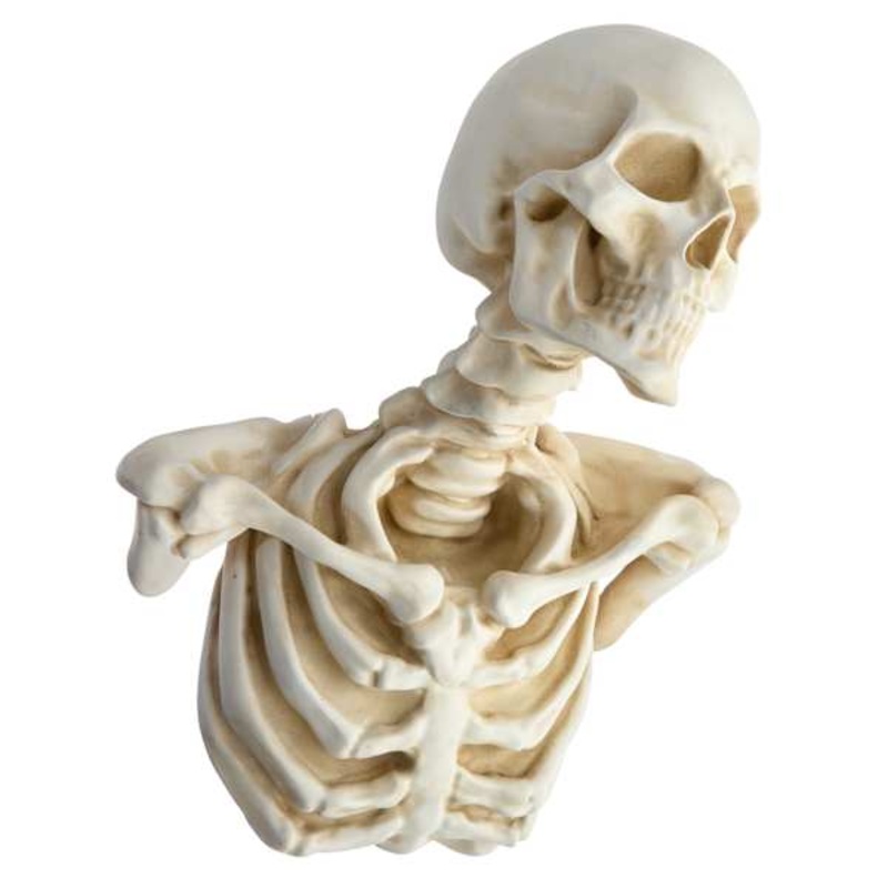 Wall Hanging Resin Skull, 14.4″