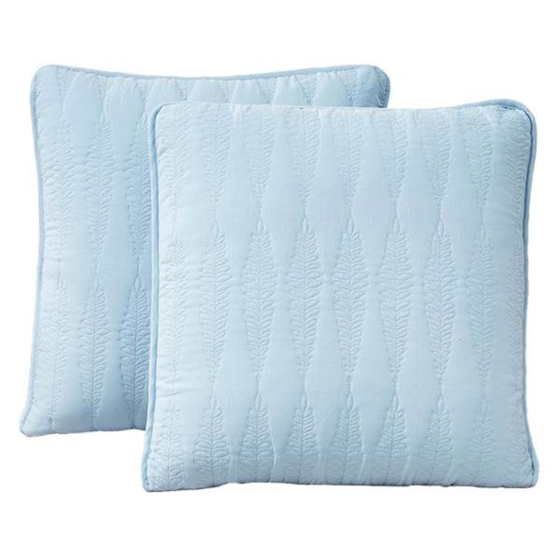 2-Pack Light Blue Embroidered Washed Microfiber Throw Pillows, 24″