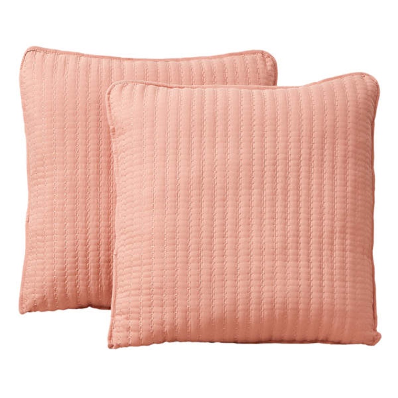 2-Pack Pink Washed Microfiber Throw Pillows, 24″