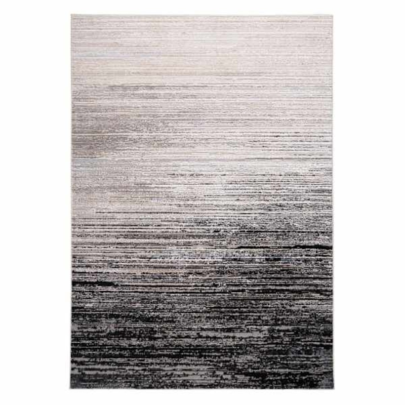 (A488) Avalis Grey & Black Ombre Accent Rug, 3×5