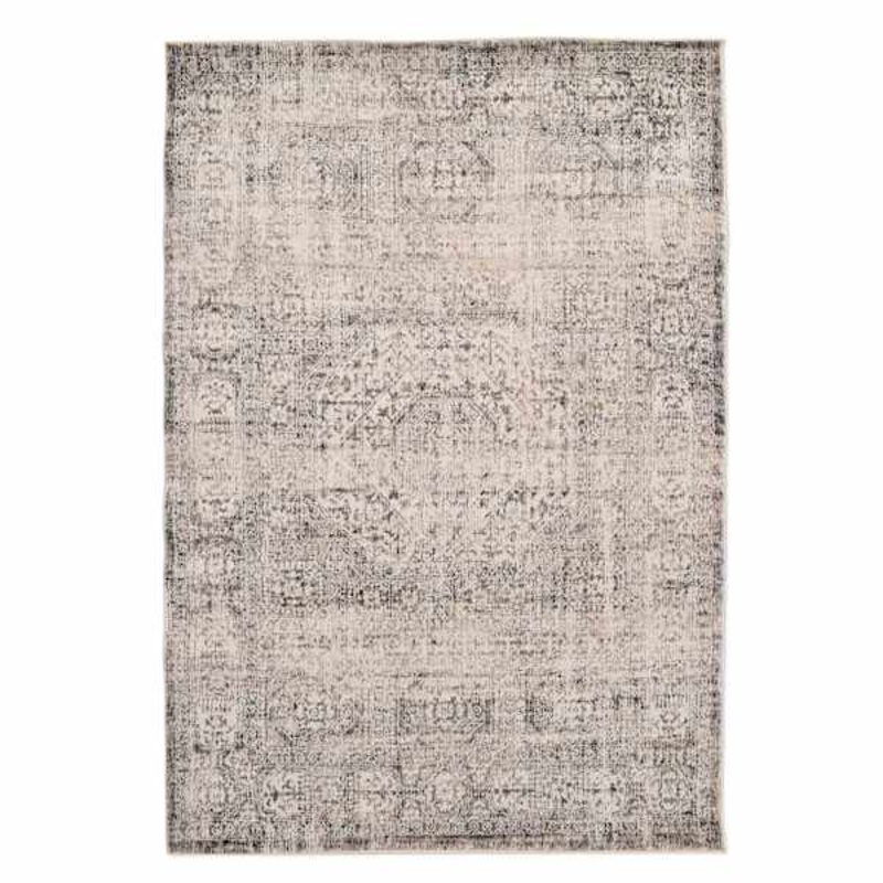 (B741) Firenze Neutral Traditional Area Rug, 5×7