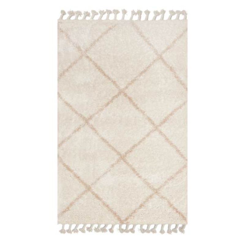 (C172) Sandee Neutral Shag Fringe Accent Rug, 3×5
