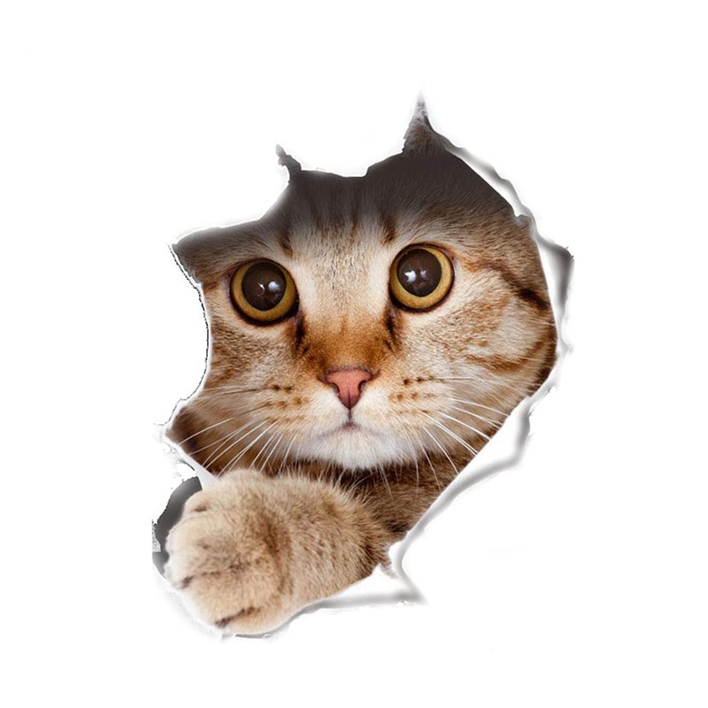U-M 1 Sheet Funny Cat Dog 3D Wall Sticker Hole View Living Room Wall Decal Toilet Seat Cover Lid Sticker Mural Art Poster Background Bathroom Bedroom Cat as shown