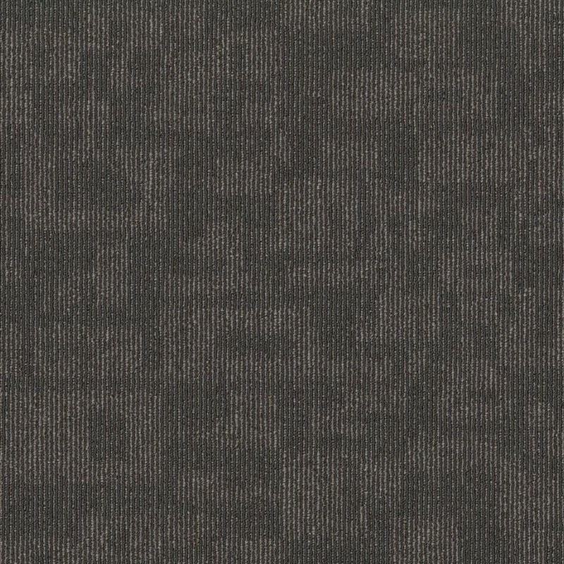 Shaw Aledo – Nexus – Gary Commercial/Residential 24 in. x 24 in. Glue-Down Carpet Tile Square (80 sq. ft.) HD22800510