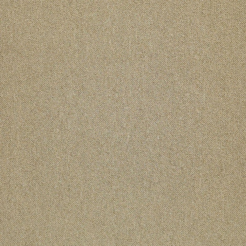 Shaw Dune-Mimic-Gold Commercial/Residential 24 in. x 24 in. Glue-Down Carpet Tile Square (48 sq. ft.) HD23416200