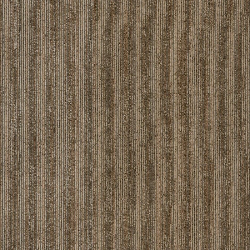 Shaw Hearn – Untamed – Brown Commercial/Residential 24 in. x 24 in. Glue-Down Carpet Tile Square (80 sq. ft.) HD22900700