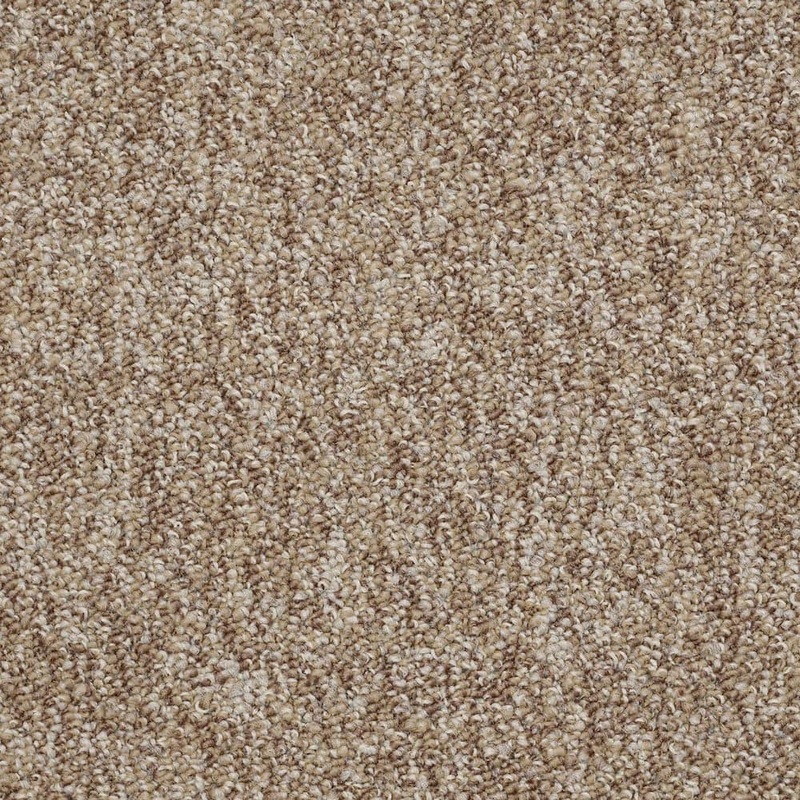 Shaw Oila-Promise-Brown Commercial/Residential 24 in. x 24 in. Glue-Down Carpet Tile Square (48 sq. ft.) HD23769702