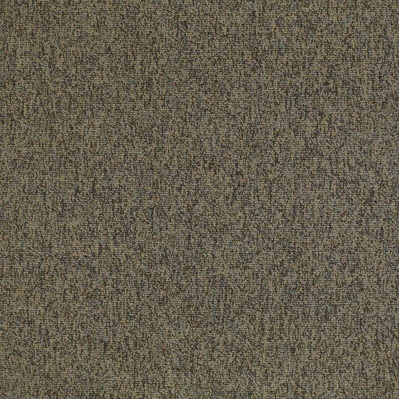 Shaw Wild-Endless-Brown Commercial/Residential 24 in. x 24 in. Glue-Down Carpet Tile Square (48 sq. ft.) HD23600700
