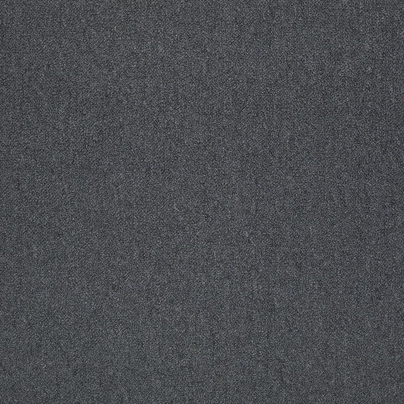 Shaw Dune-Nocturne-Black Commercial/Residential 24 in. x 24 in. Glue-Down Carpet Tile Square (48 sq. ft.) HD23416509