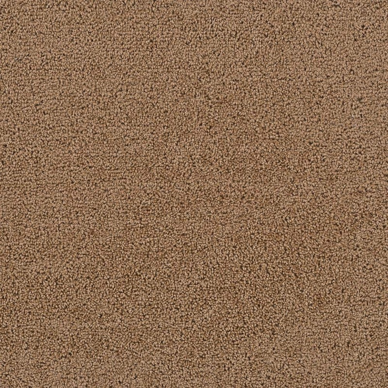 TrafficMaster Caring Beige-Fawn-Brown 12 ft. 16 oz. Polyester Texture Full Roll Carpet (1199 sq. ft. /Roll) H2039-1858-1200