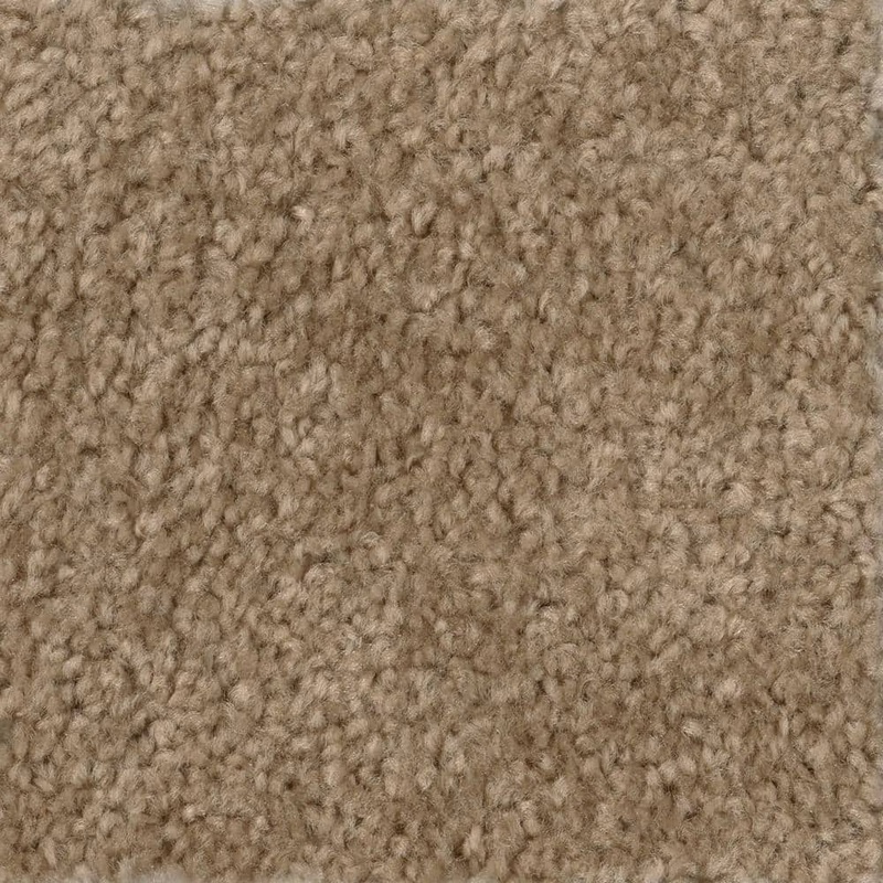 TrafficMaster Hot Shot II – Tuscan – Beige 12 ft. Wide x Cut to Length 16 oz. SD Polyester Texture Carpet H2004-402-1200-AB